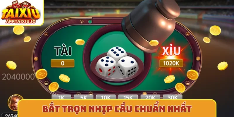 Bắt trọn nhịp cầu chuẩn nhất