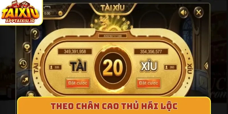 Theo chân cao thủ hái lộc
